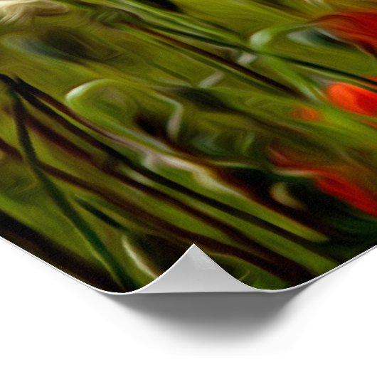 Red Poppy Flowers Poster (Hoek)