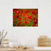 Red Poppy Flowers Poster (Keuken)