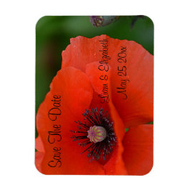 Red Poppy Formal slaat de datum op Magneet