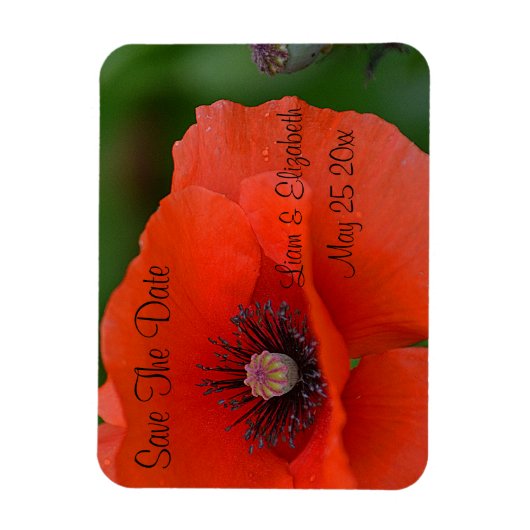 Red Poppy Formal slaat de datum op Magneet (Verticaal)