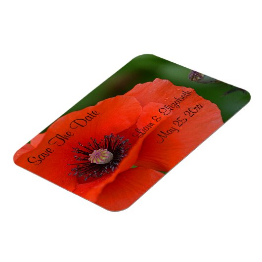 Red Poppy Formal slaat de datum op Magneet (Linkerzijde)