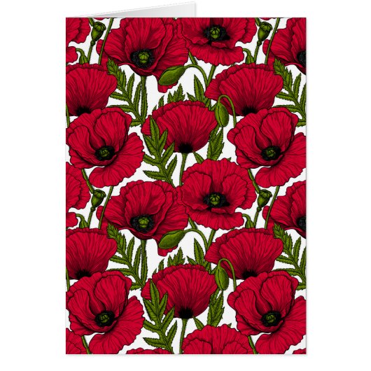 Red Poppy garden 2 (Voorkant)