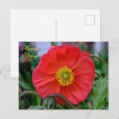 Red Poppy Happy Spring Briefkaart (Voorkant / Achterkant)
