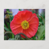 Red Poppy Happy Spring Briefkaart (Voorkant)