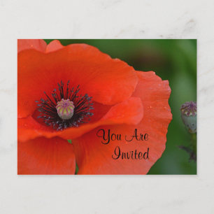 Red Poppy Invitation Uitnodiging Briefkaart