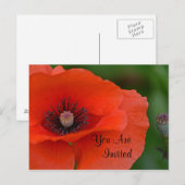 Red Poppy Invitation Uitnodiging Briefkaart (Voorkant / Achterkant)