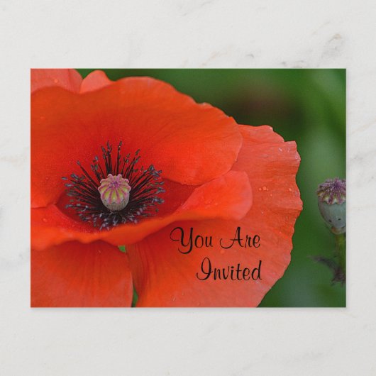 Red Poppy Invitation Uitnodiging Briefkaart (Voorkant)