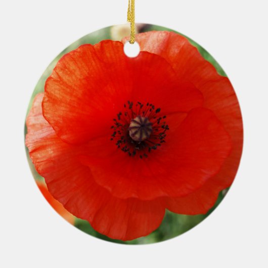 Red Poppy kerst Keramisch Ornament (Achterkant)