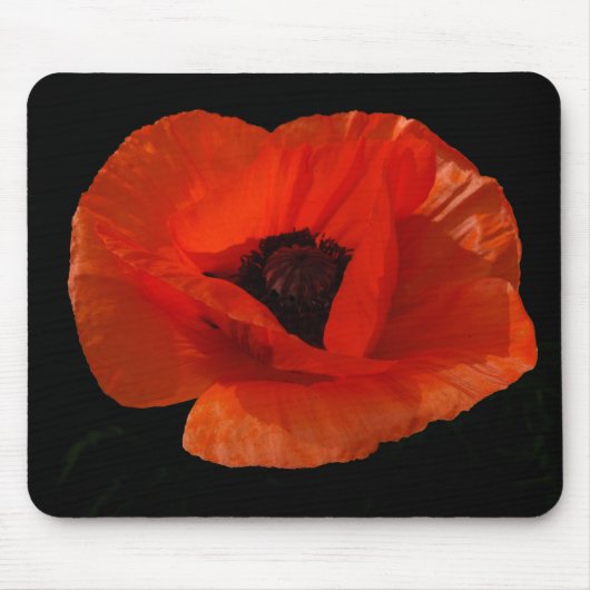Red Poppy Macro Muismat (Voorkant)