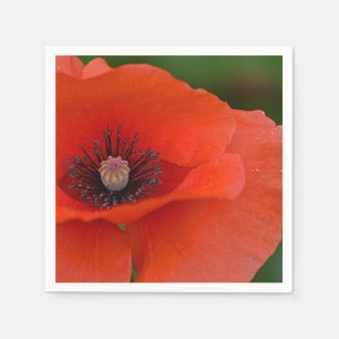 Red Poppy Napkin Servetten