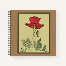 Red Poppy