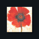 Red Poppy Portrait Canvas Afdruk<br><div class="desc">Red Poppy Portret I van Tim OToole. Biedt een enkele levendige rode papaver tegen een neutrale achtergrond.</div>
