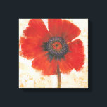 Red Poppy Portrait Canvas Afdruk<br><div class="desc">Red Poppy Portret I van Tim OToole. Biedt een enkele levendige rode papaver tegen een neutrale achtergrond.</div>