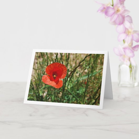 Red Poppy Portrait Kaart (Orchidee)