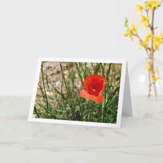 Red Poppy Portrait Kaart (Gele Bloem)