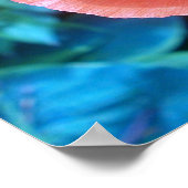 Red Poppy. Poster (Hoek)