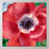 Red Poppy Poster (Voorkant)