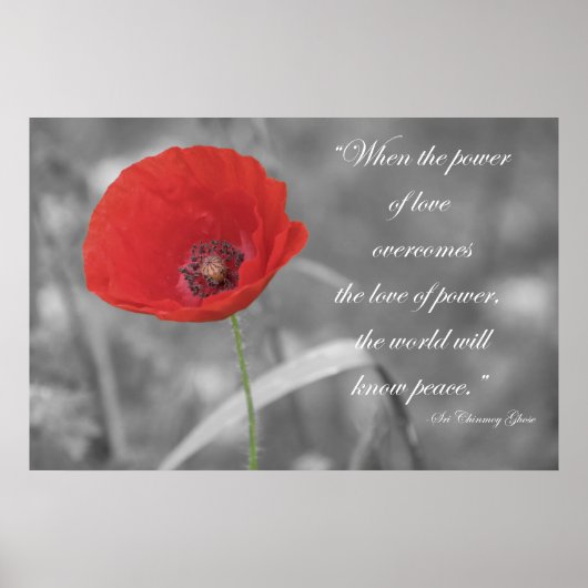 Red Poppy Poster Print (Voorkant)