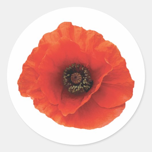 Red Poppy Ronde Sticker (Voorkant)
