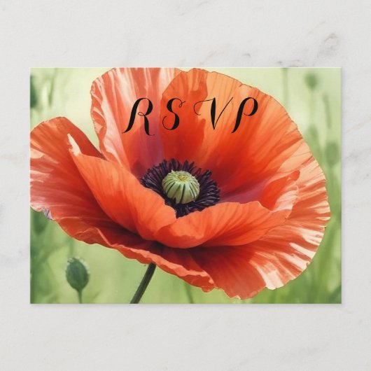 Red Poppy RSVP Postcard Uitnodiging Briefkaart (Voorkant)
