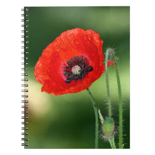 Red Poppy Seed Photo Notitieboek (Voorkant)
