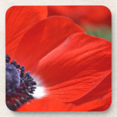 Red Poppy Spring Floral Bier Onderzetter (Voorkant)