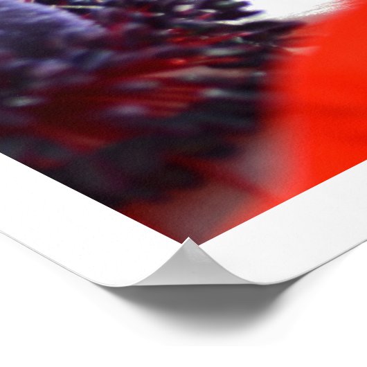 Red Poppy Spring Floral Poster (Hoek)