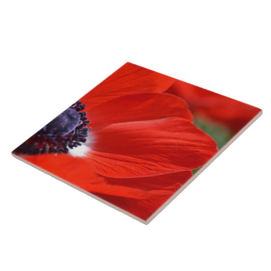 Red Poppy Spring Floral Tegeltje (Zijkant)