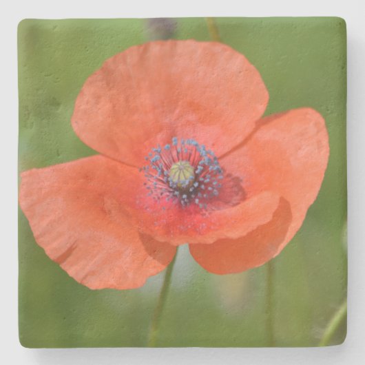 Red Poppy Stenen Onderzetter (Voorkant)
