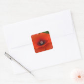 Red Poppy Sticker (Envelop)