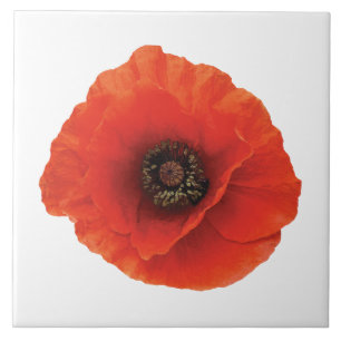 Red Poppy Tegeltje