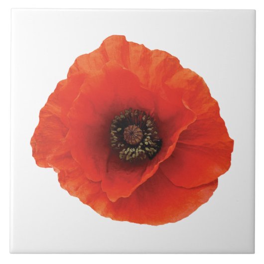 Red Poppy Tegeltje (Voorkant)