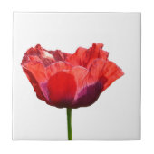 Red Poppy Tile Tegeltje (Voorkant)