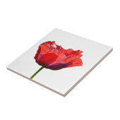 Red Poppy Tile Tegeltje (Zijkant)