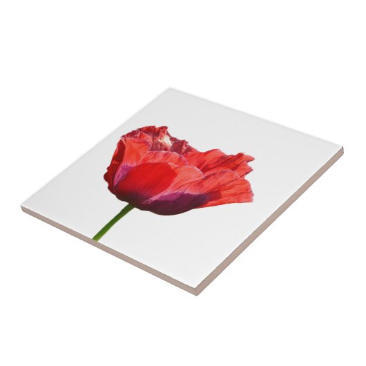 Red Poppy Tile Tegeltje (Zijkant)