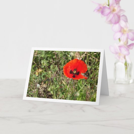 Red Poppy-ventilatorkaart Kaart (Orchidee)