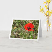 Red Poppy-ventilatorkaart Kaart (Gele Bloem)