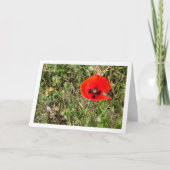 Red Poppy-ventilatorkaart Kaart (Voorkant)