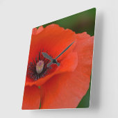 Red Poppy Wall klok (Hoek)