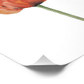 Red Poppy Watercolor Botanical Print Foto Afdruk (Hoek)