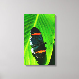 Red Postman Canvas Afdruk