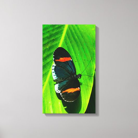 Red Postman Canvas Afdruk (Voorkant)