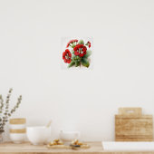 Red Primrose Flowers Art Print Poster (Keuken)