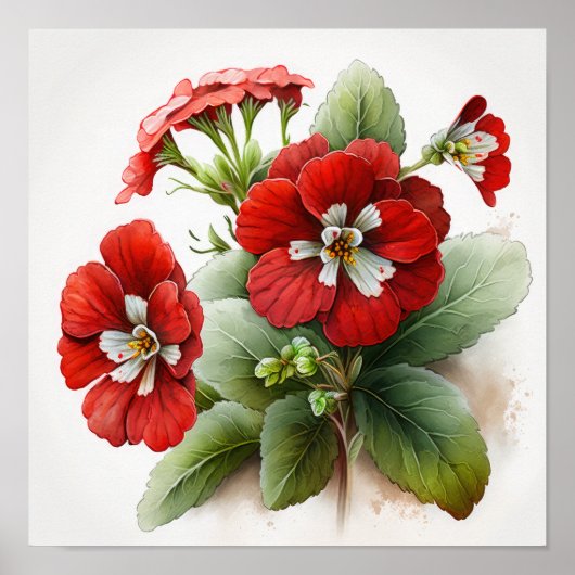 Red Primrose Flowers Art Print Poster (Voorkant)