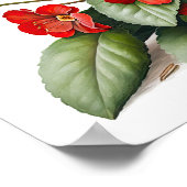 Red Primrose Flowers Art Print Poster (Hoek)