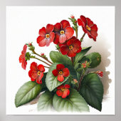 Red Primrose Flowers Art Print Poster (Voorkant)