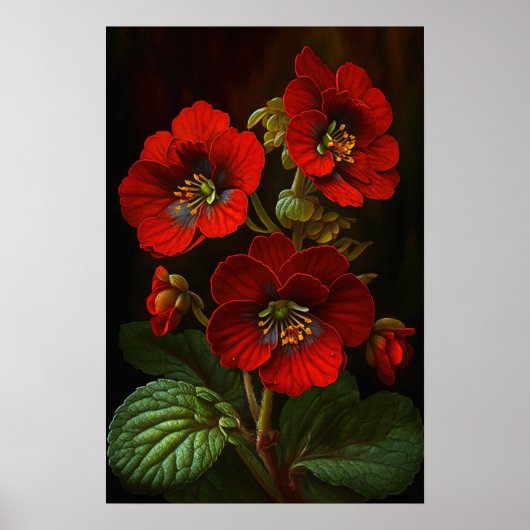 Red Primrose Flowers Art Print Poster (Voorkant)