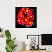 Red Primula in lente Poster (Thuiskantoor)