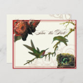 Red Protea Kolibries - Save the Date Briefkaart (Voorkant / Achterkant)
