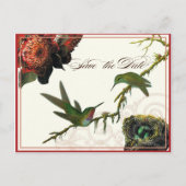 Red Protea Kolibries - Save the Date Briefkaart (Voorkant)